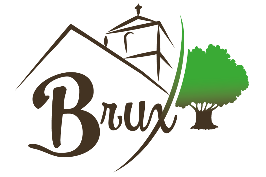 logo brux sans fond